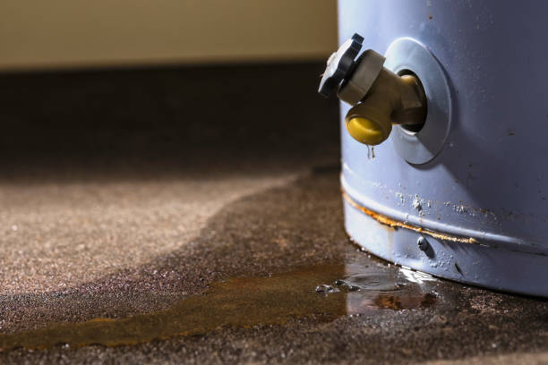 Best Water damage restoration near me  in Merrill, IA
