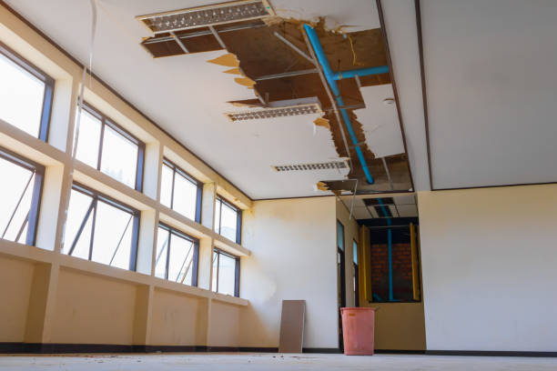  Merrill, IA Water damage restoration Pros