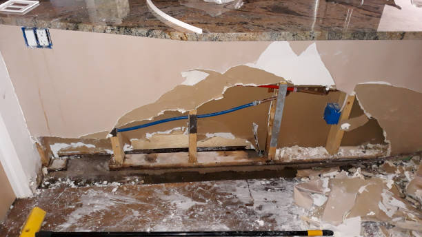 Best 24/7 water damage repair  in Merrill, IA