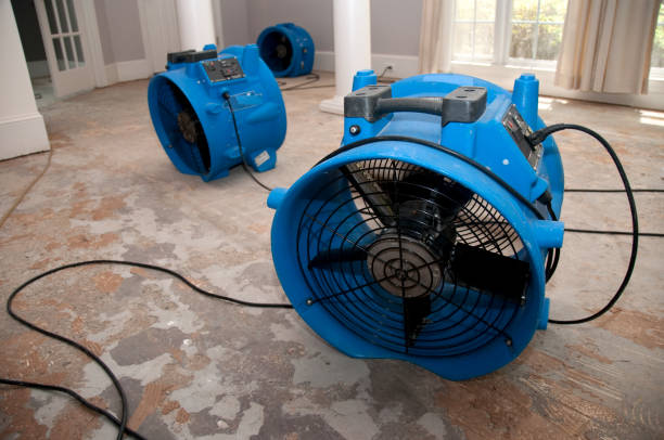 Water damage restoration experts in IA