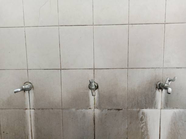 Best Water damage restoration cost  in Merrill, IA