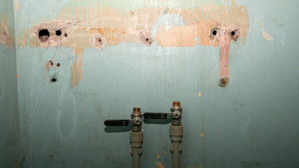 Best Flood damage cleanup  in Merrill, IA
