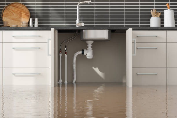Best Local water damage restoration  in Merrill, IA