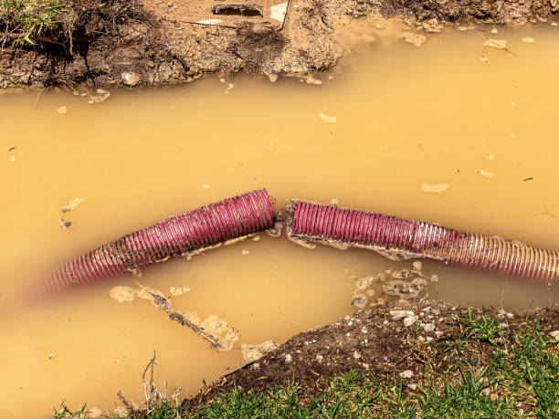 Best Emergency water damage restoration  in Merrill, IA