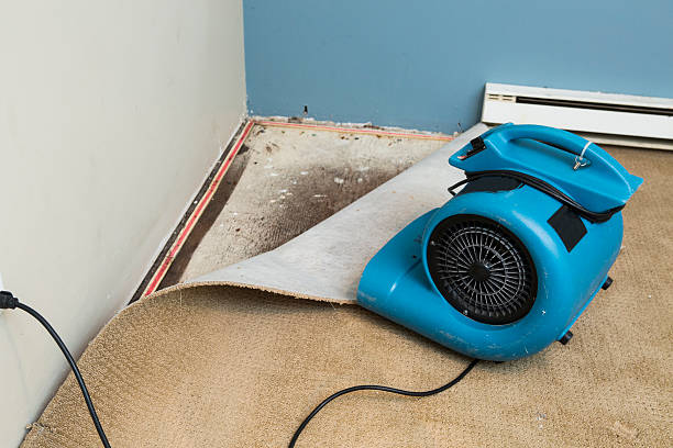 Best Water damage restoration near me  in Merrill, IA